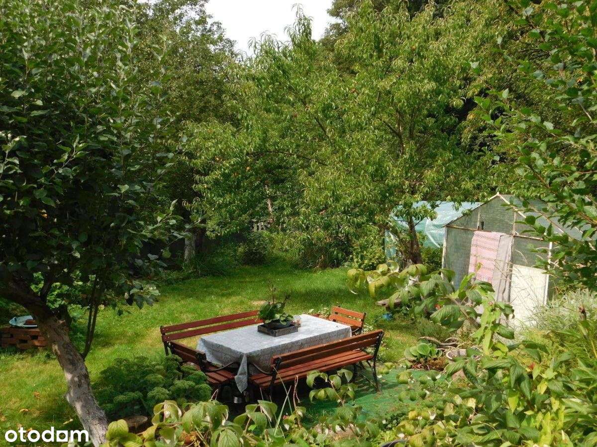 Apartament Kudowa-ZdrÓj Ul Moniuszki-18