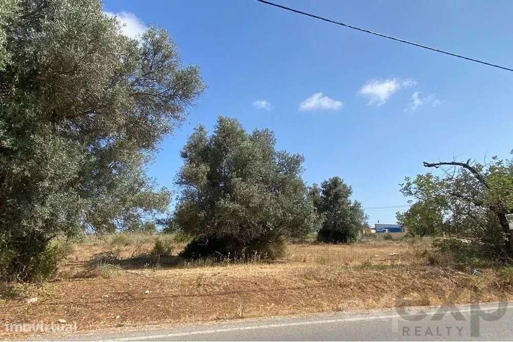 Terreno, 8 053 m², Pechão - Grande imagem: 4/4