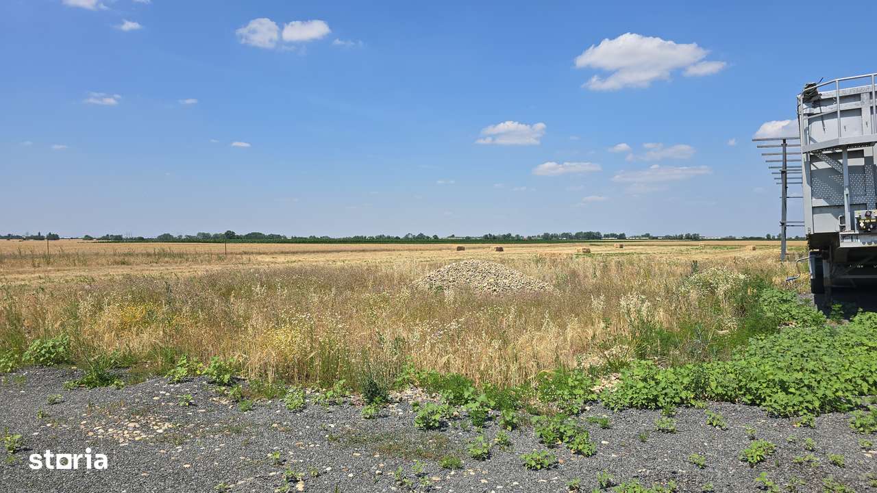 Teren intravilan 564 mp – Zimandcuz - Imagine principală: 4/4