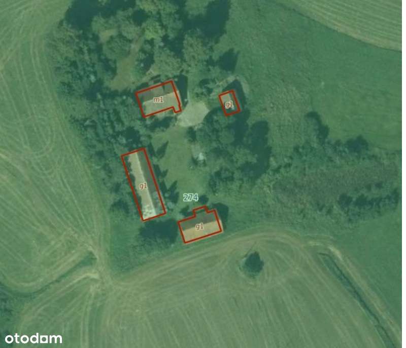 Gospodarstwo rolne na Mazurach – wyjątkowa lokalizacja - Pełny obrazek: 3/3