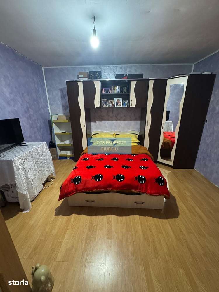 Casă P+M pe strada Tineretului-3