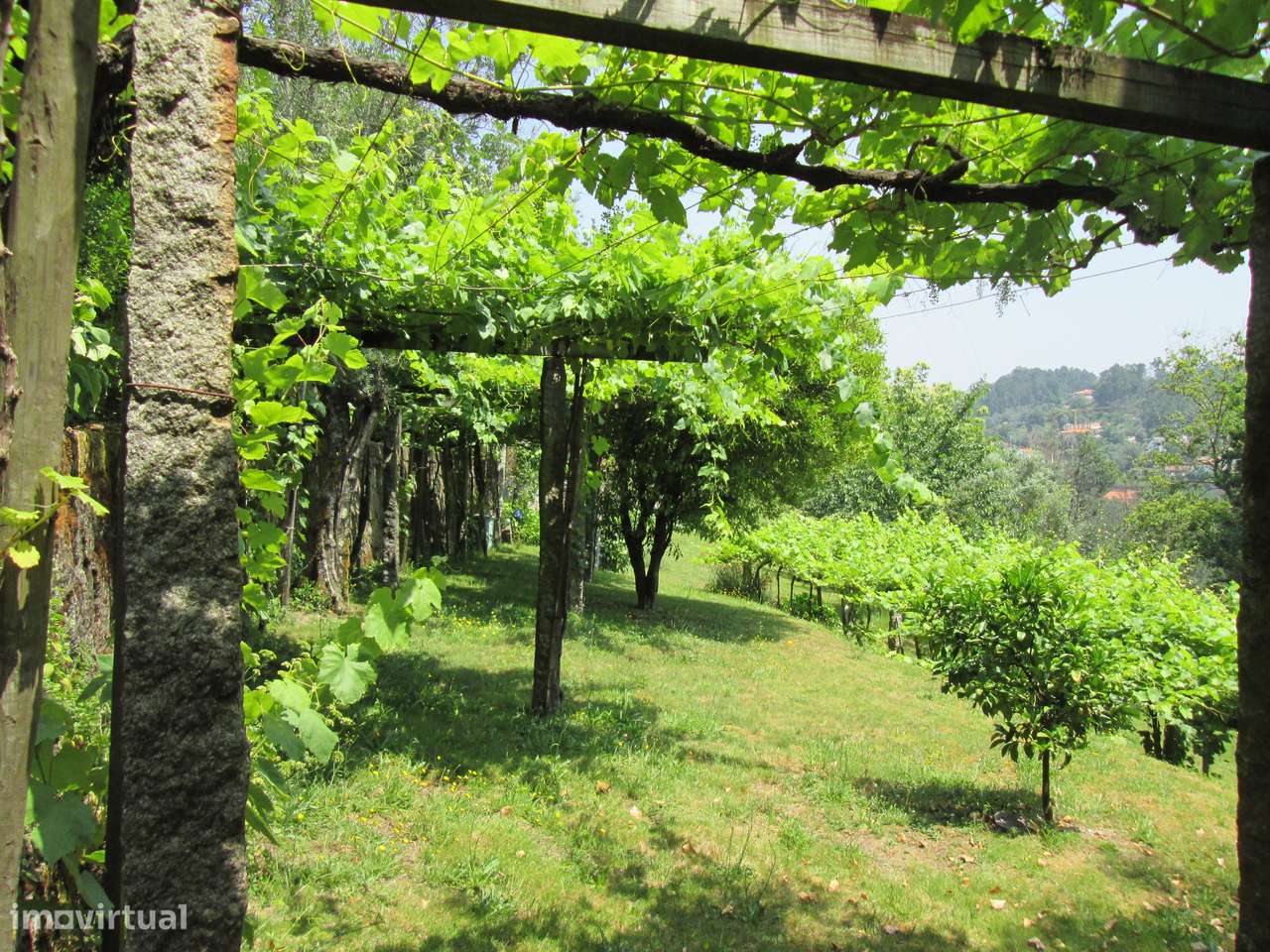 Quintinha no Minho Ponte de Lima * 10.000 m2 * a 90 Km do Porto-32