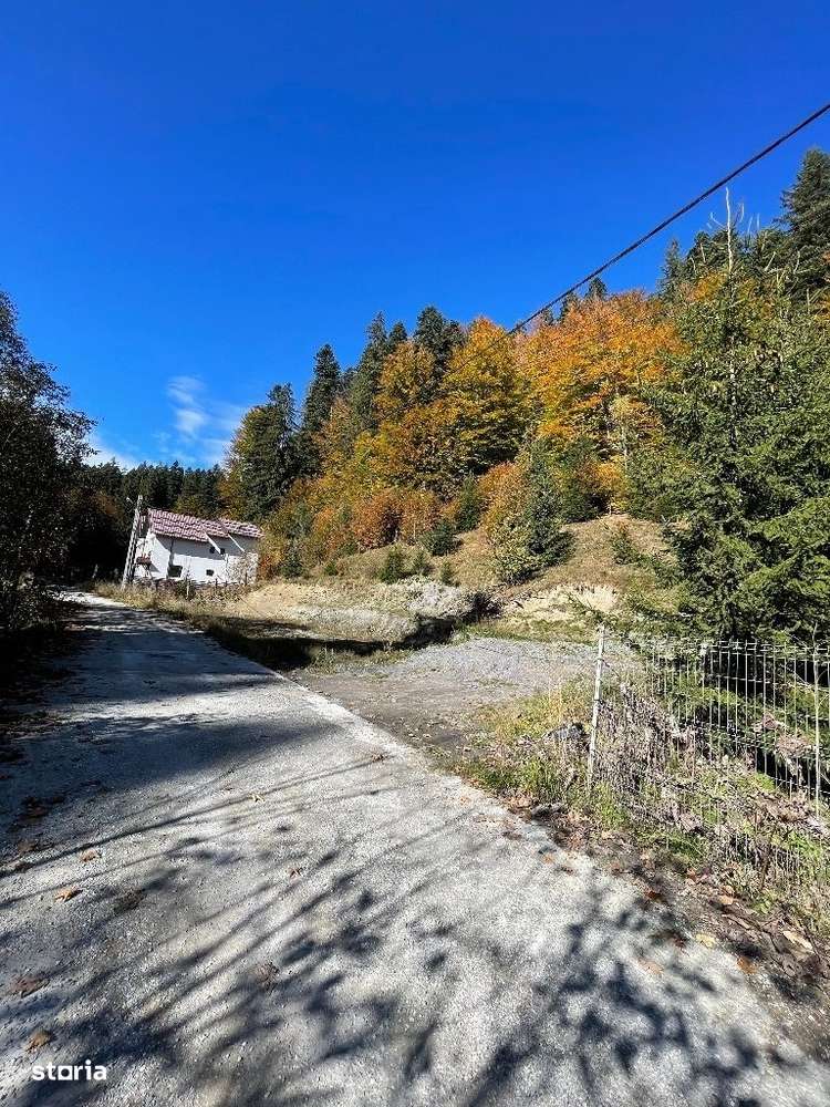 Teren intravilan Predeal - Imagine principală: 1/9