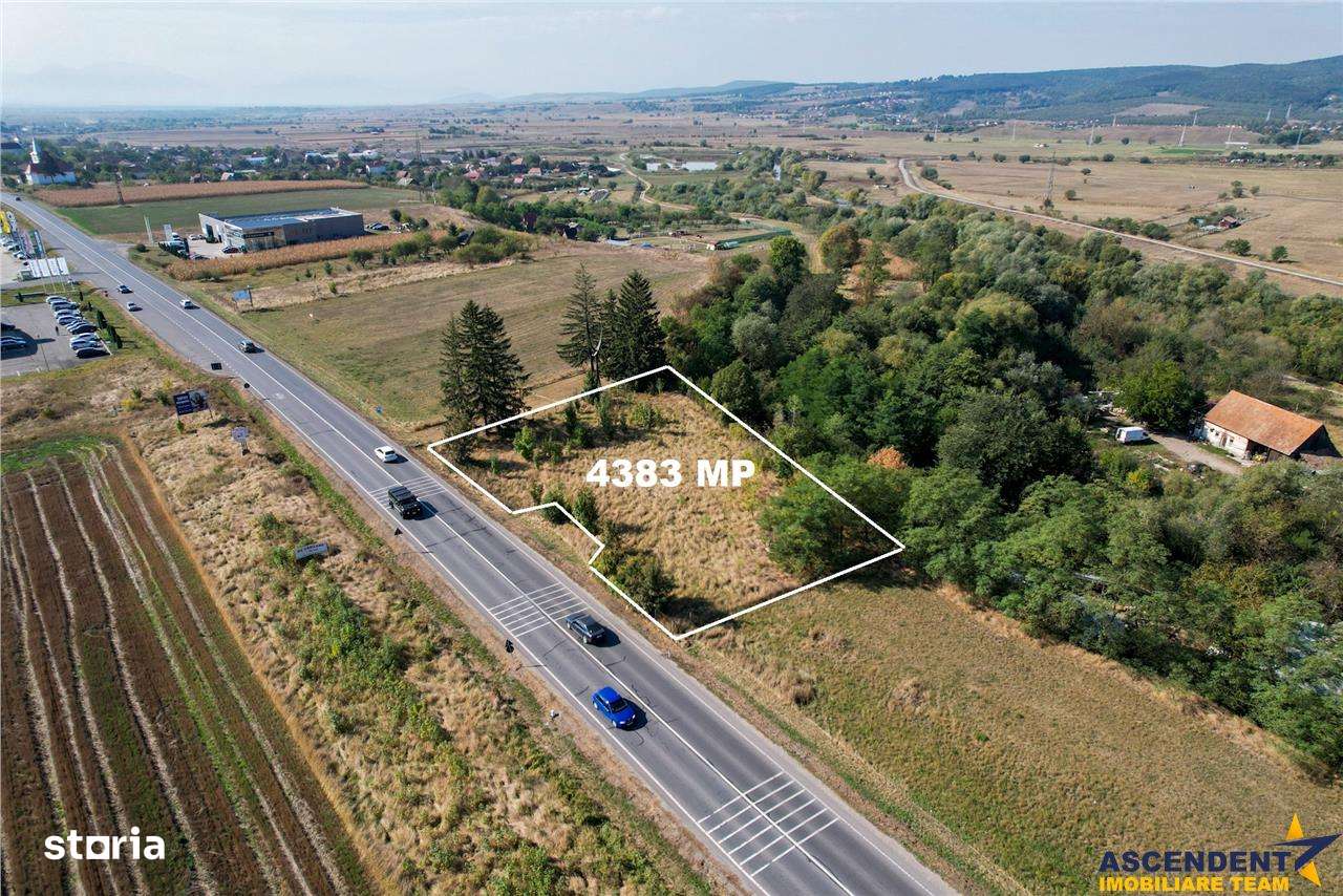 FILM!Teritoriu Versatil:4.383 mp intravilan, deschidere  la drum natio - Imagine principală: 5/8
