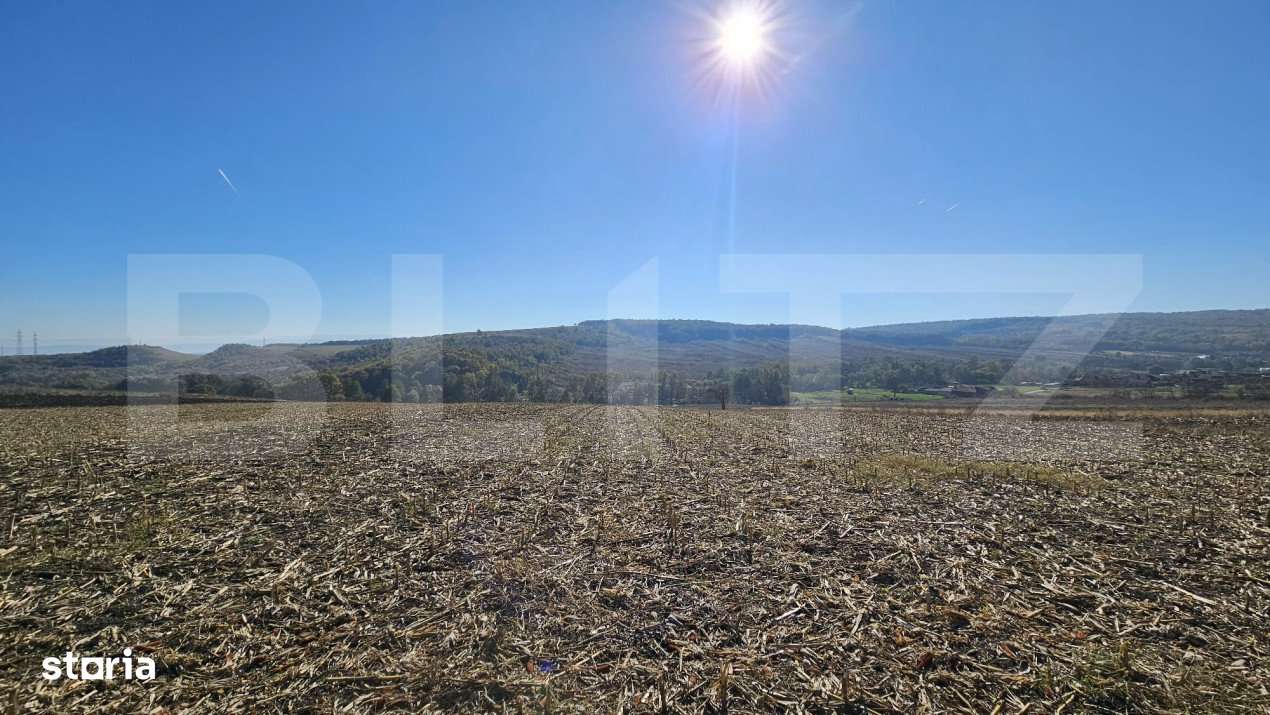 Teren extravilan, 17.000 mp, zona Almasu Mic - Imagine principală: 2/3