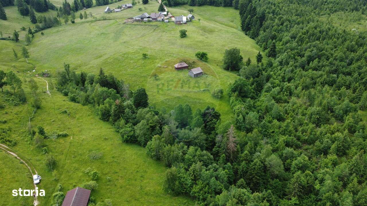 Teren de vanzare 8119 mp Calatele Padure.Muntii Apuseni - Imagine principală: 2/20
