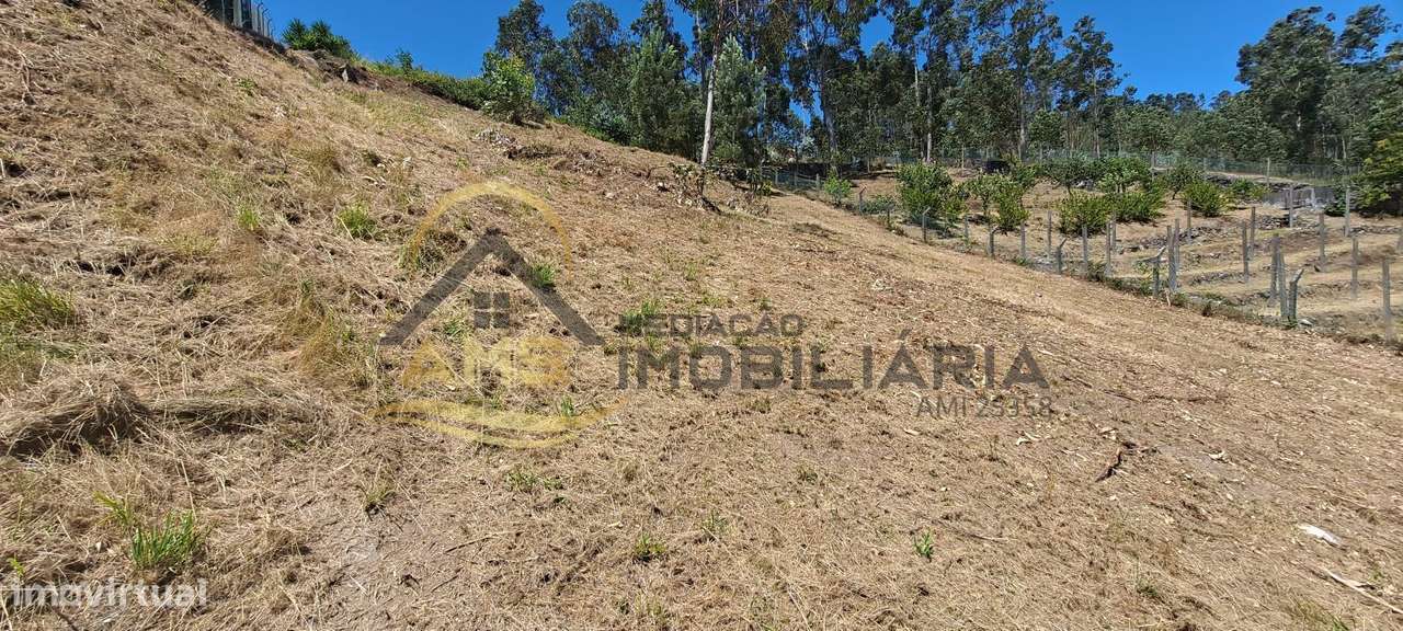 Terreno para construção em Golães 2500m2 - Grande imagem: 4/11