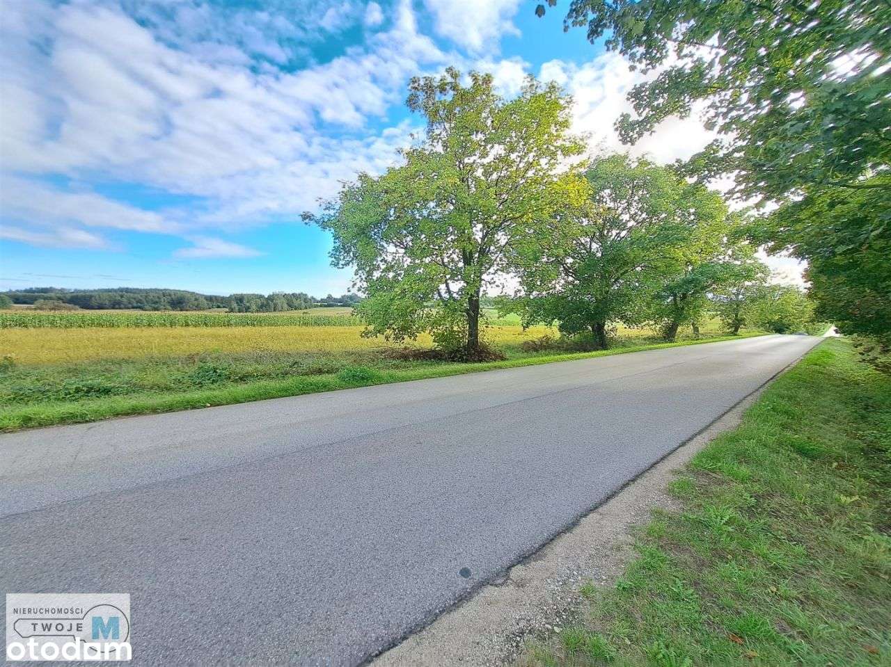 Widokowa działka idealna pod podział! - Pełny obrazek: 3/9