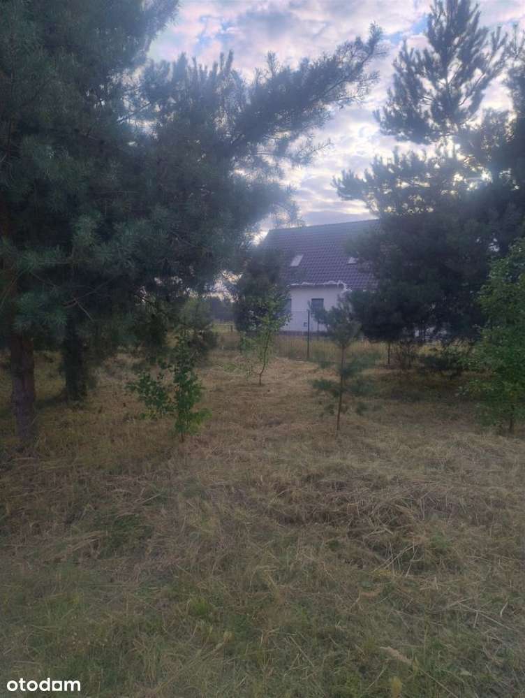 Piękna działka w Rakowni Gmina Murowana Goślina-16