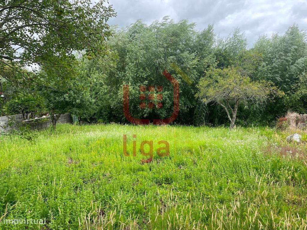 Casa em Ruinas com Terreno - Ourém! - Grande imagem: 5/6