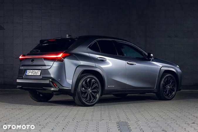 Lexus UX 250h - 6