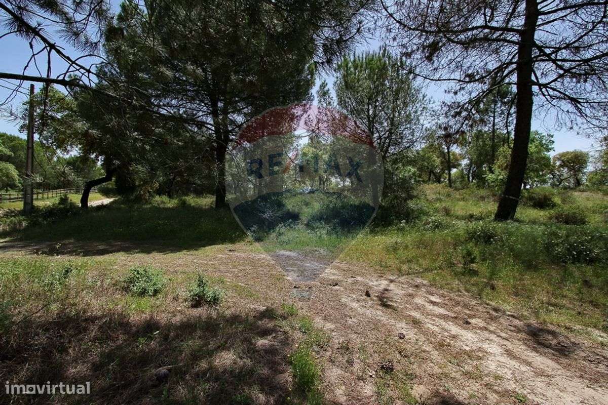 Terreno  para venda - Grande imagem: 2/12