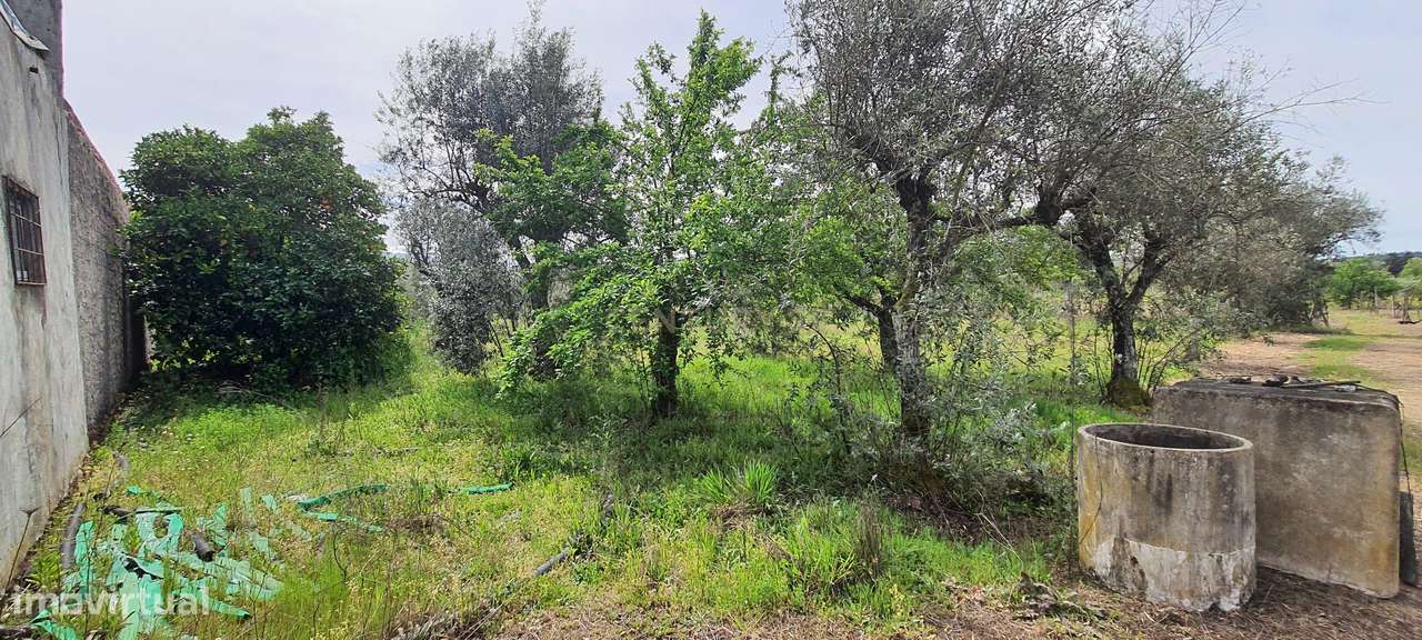 Terreno em Santar - Grande imagem: 5/9