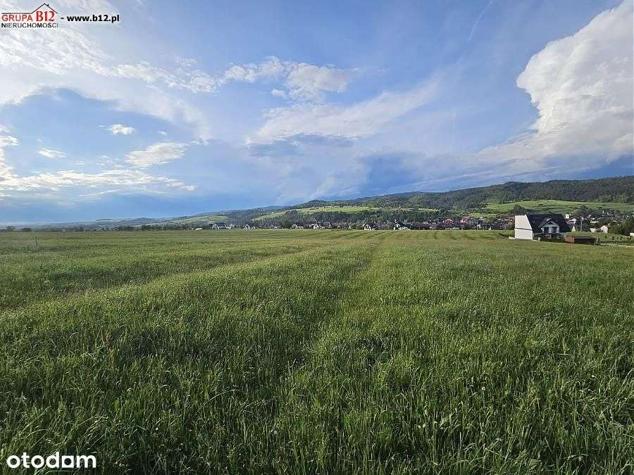 ładna działka w spokojnym miejscu - Pełny obrazek: 4/12