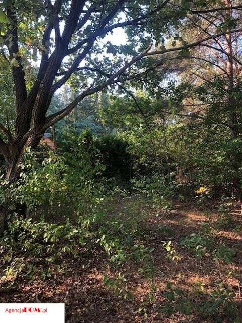 Władysławów(k.Siestrzeni),prąd,gaz,woda,budowlana,-4