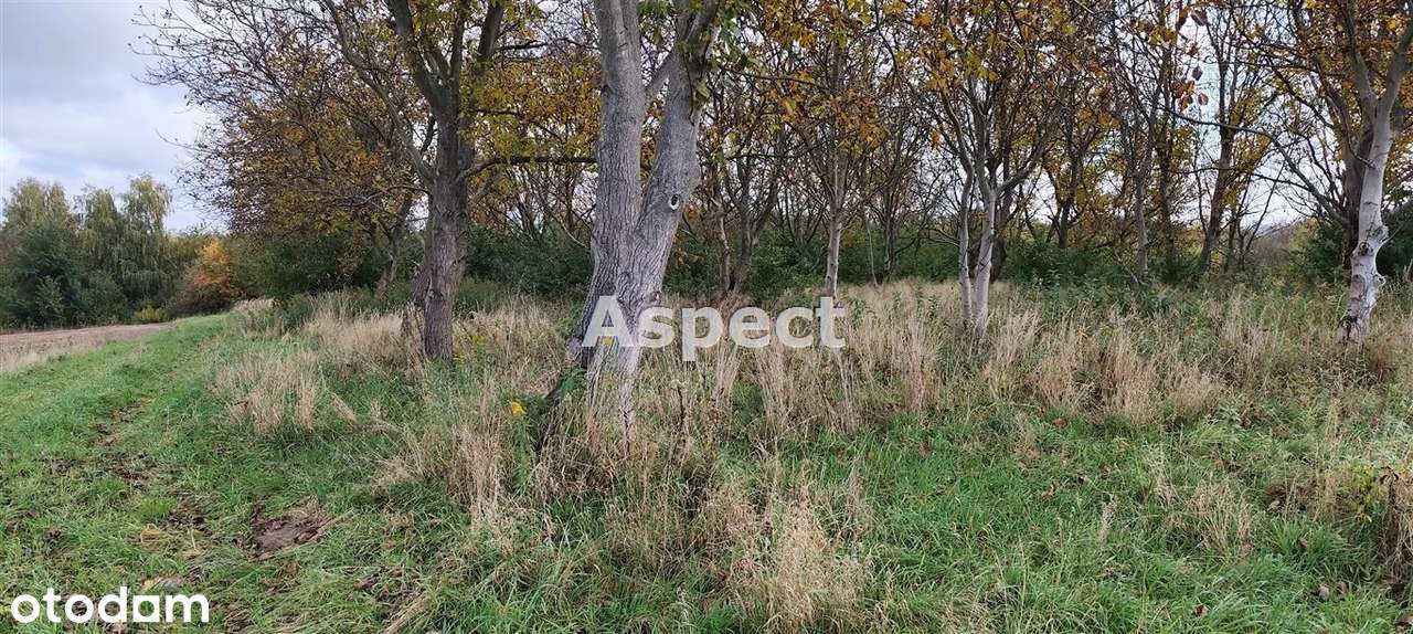 Łańcut działka budowlano-inwestycyjna 4189 m2 z W - Pełny obrazek: 4/5
