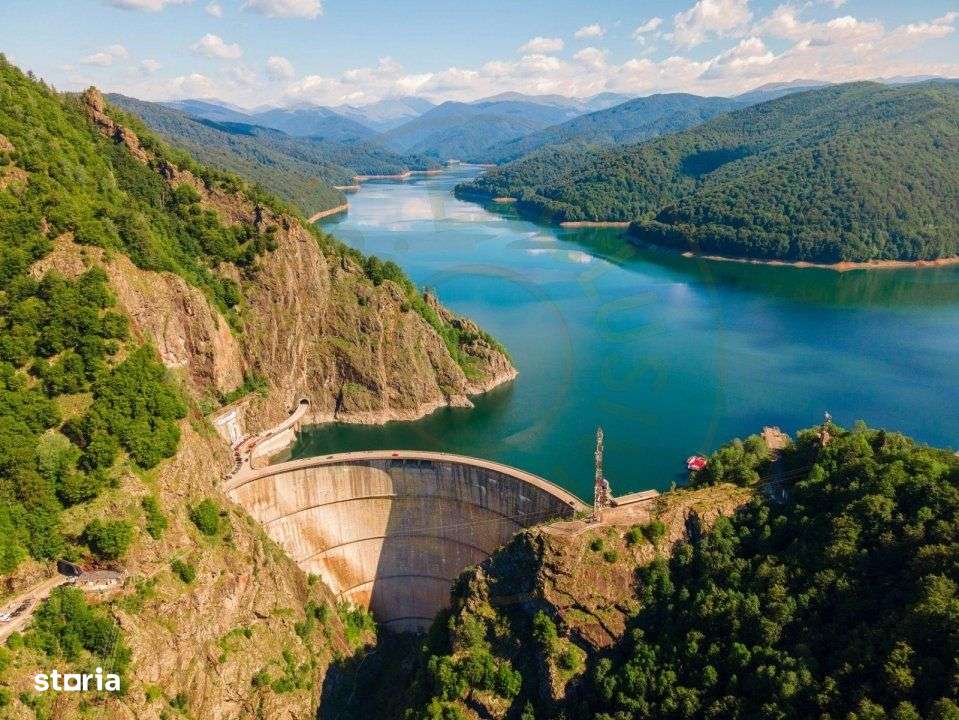 Teren 4996 mp zona de munte Comuna Arefu-Capataneni Arges - Imagine principală: 5/9