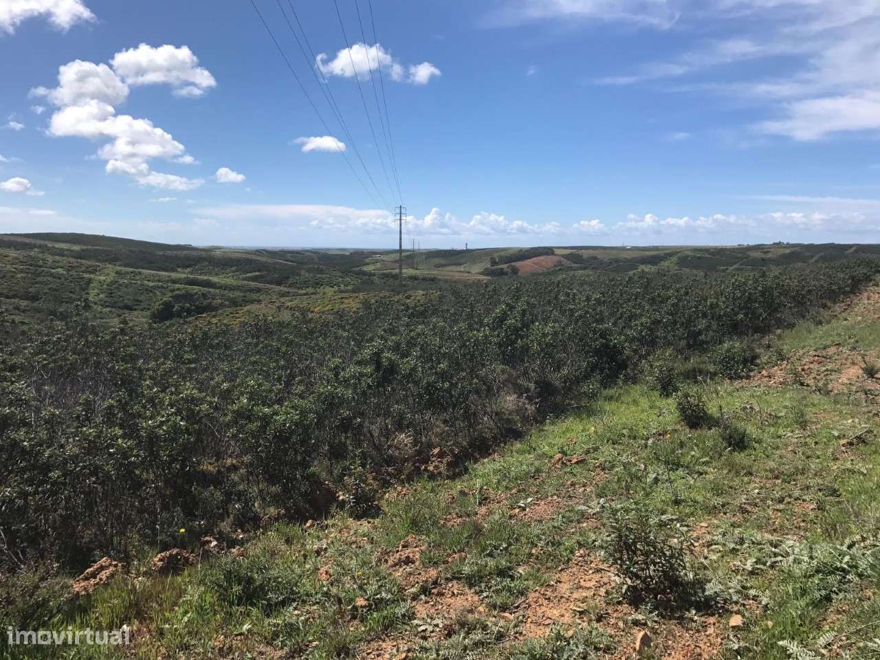 2 Terrenos Rústicos na Raposeira - Grande imagem: 3/8