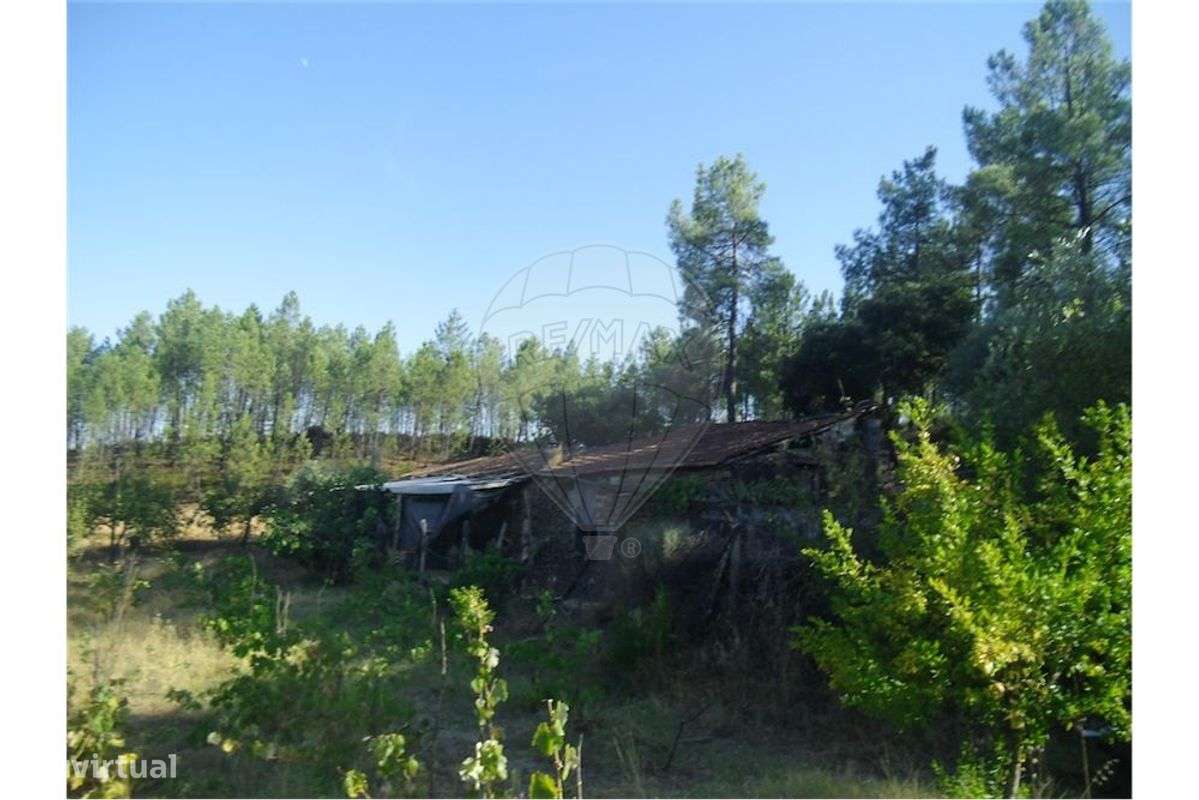 Quinta T0 para venda - Grande imagem: 5/50