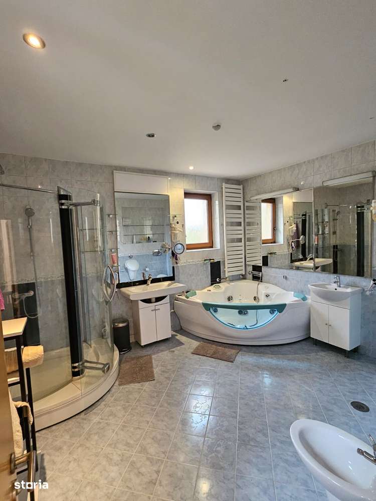 Vilă  deosebită D+P+1E+P/  garaj/curte/ Iancu Nicolae-18