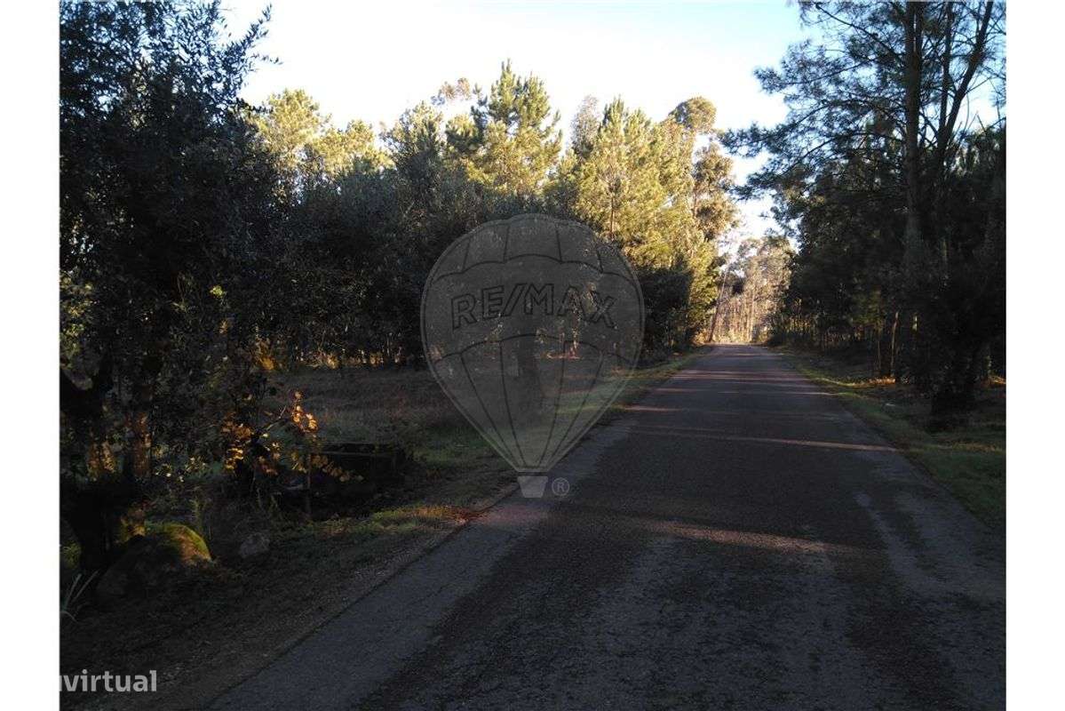 Terreno T0 para venda - Grande imagem: 2/7