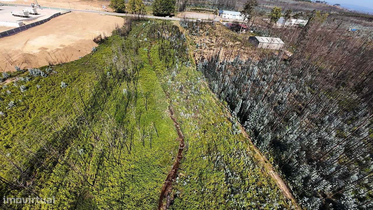 Outros - Comercial  para venda - Grande imagem: 5/7