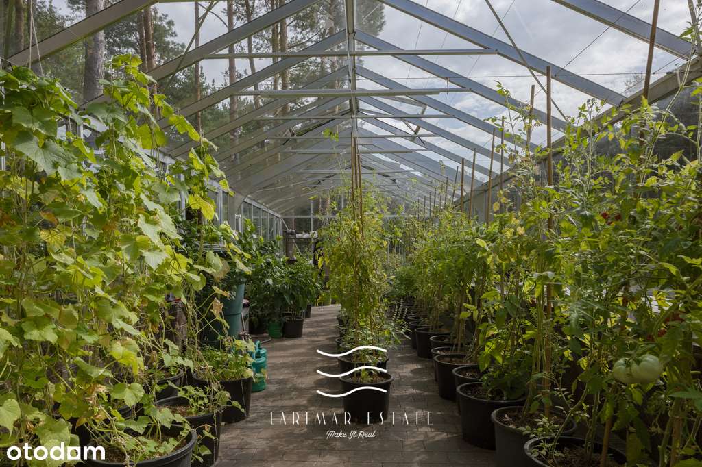 Sprzedam dom gmina Wyszków-6