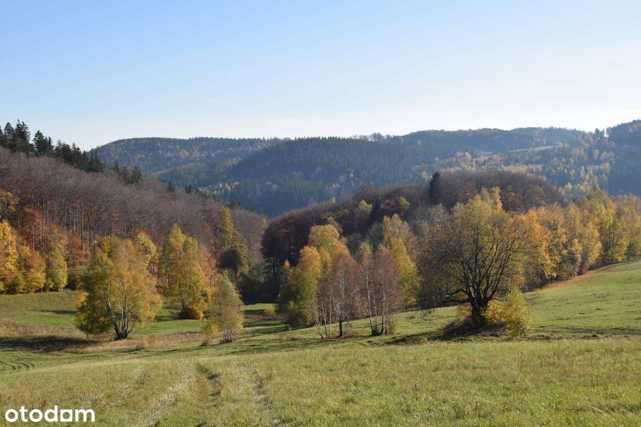 Działka w górach z decyzją o warunkach zabudowy, okolice Karpacza-14