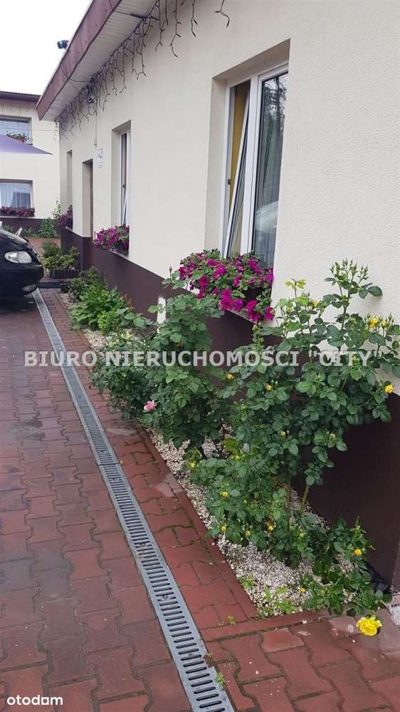 Lokal użytkowy, 1 830 m², Sosnowiec - Pełny obrazek: 5/15