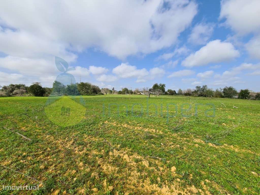 Terreno rústico com 14550 m2 em Albufeira, com boa exposição solar.... - Grande imagem: 2/8