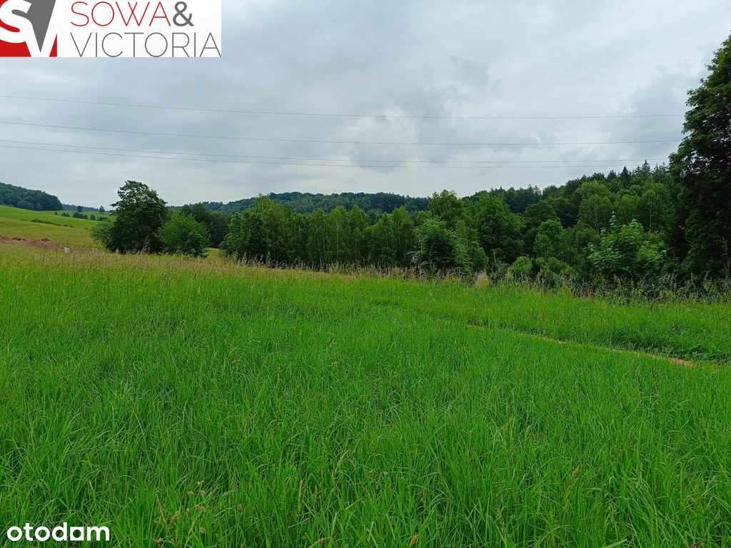 Widokowa działka;prąd, droga i dogodna komunikacja - Pełny obrazek: 5/15