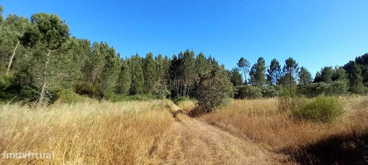 Terreno Rustico Sobrainho da Ribeira - Grande imagem: 3/14