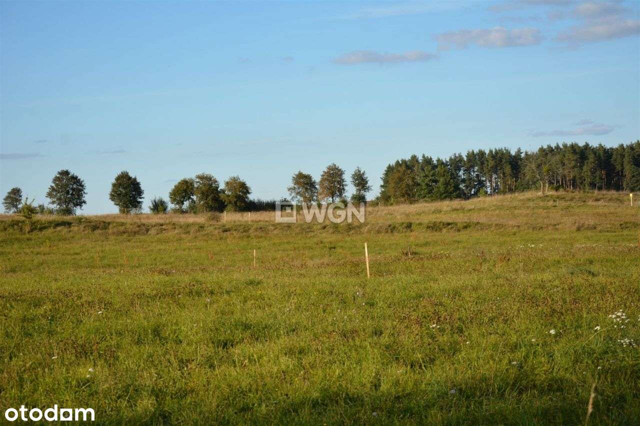 Zawady Ełckie, gm. Stare Juchy. - Pełny obrazek: 5/11