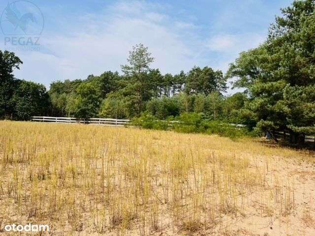 Działka w Węgielni - Pełny obrazek: 5/18
