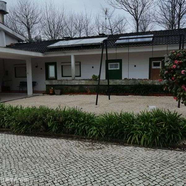 Arrendase T1 no TROVISCAL - Grande imagem: 4/12