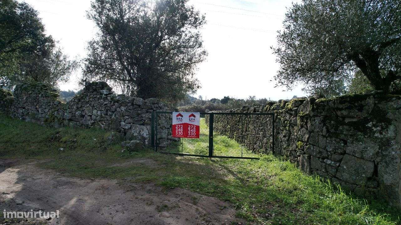 Quintinha - Grande imagem: 2/60