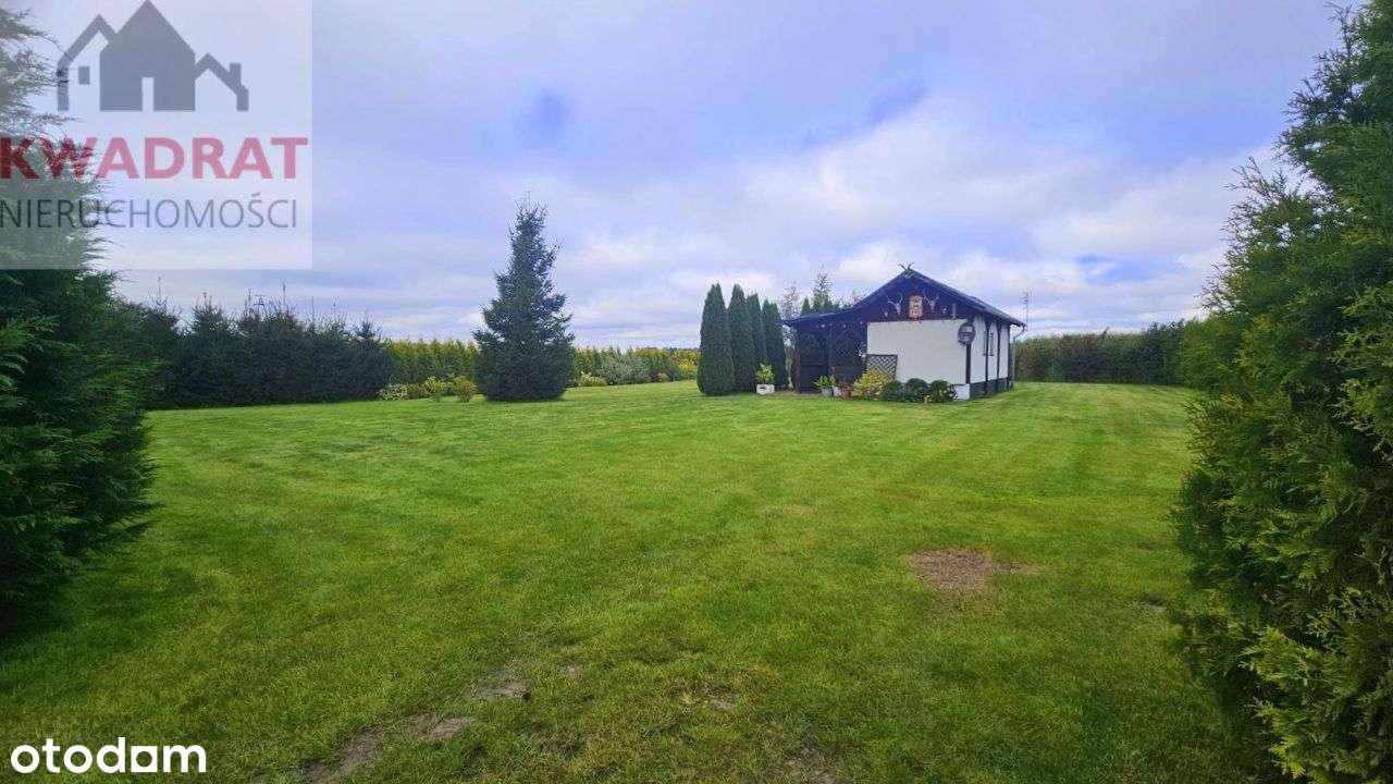 Działka 5.000 m2 idealna na rekreację lub do zamie - Pełny obrazek: 5/20