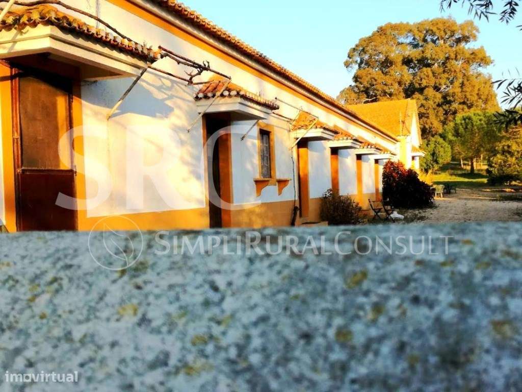 Herdade Histórica com 173 Hectares-13