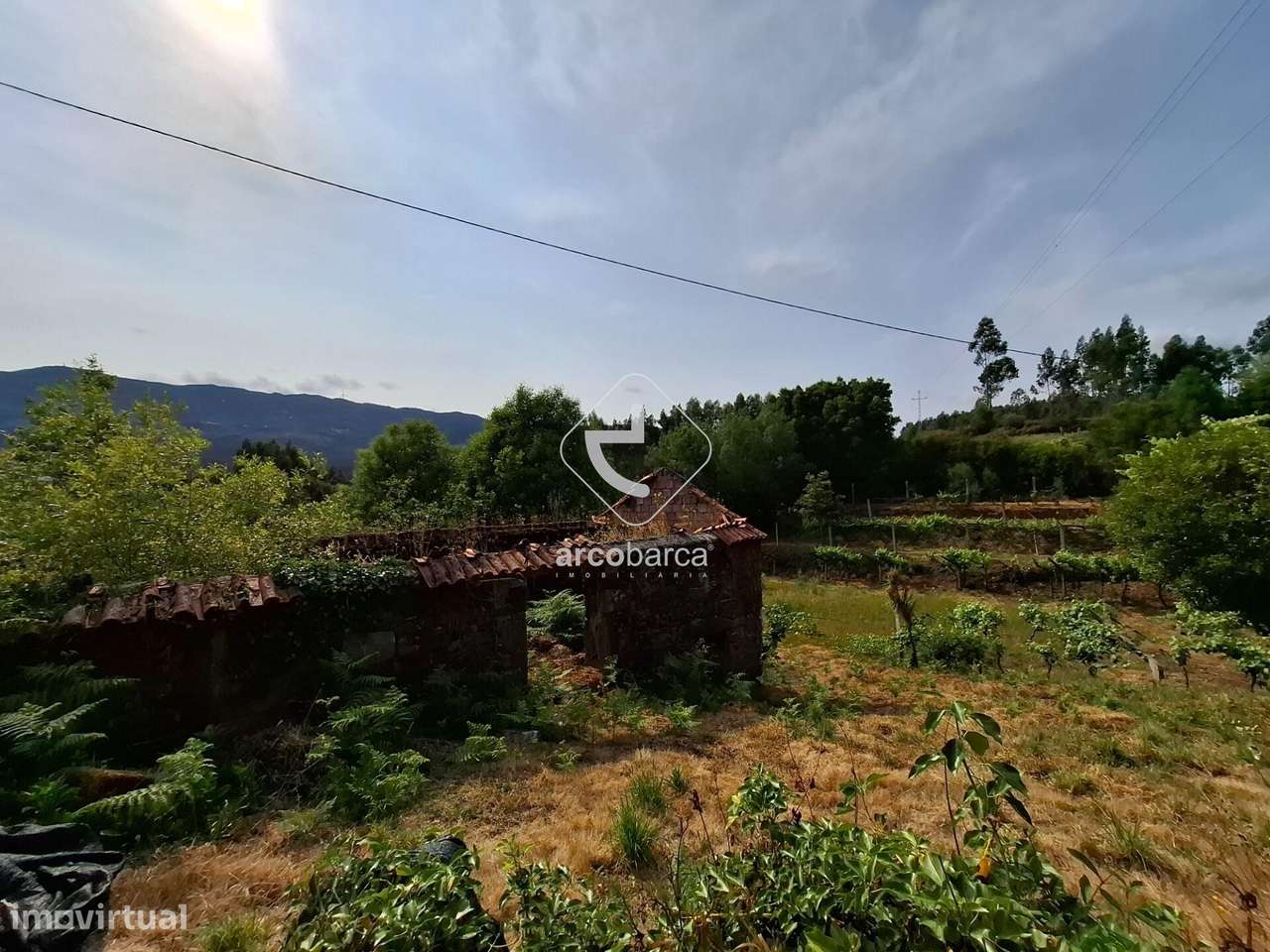 Quintinha ruinas p/restauro com 2520m2 - Moreira Lima - Ponte de Lima-23