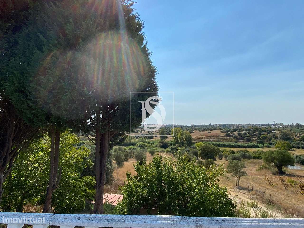 Quinta - Torres Novas - Grande imagem: 5/30