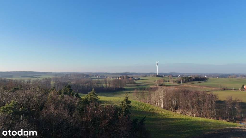 Mieszkanie w lesie - do remontu-17