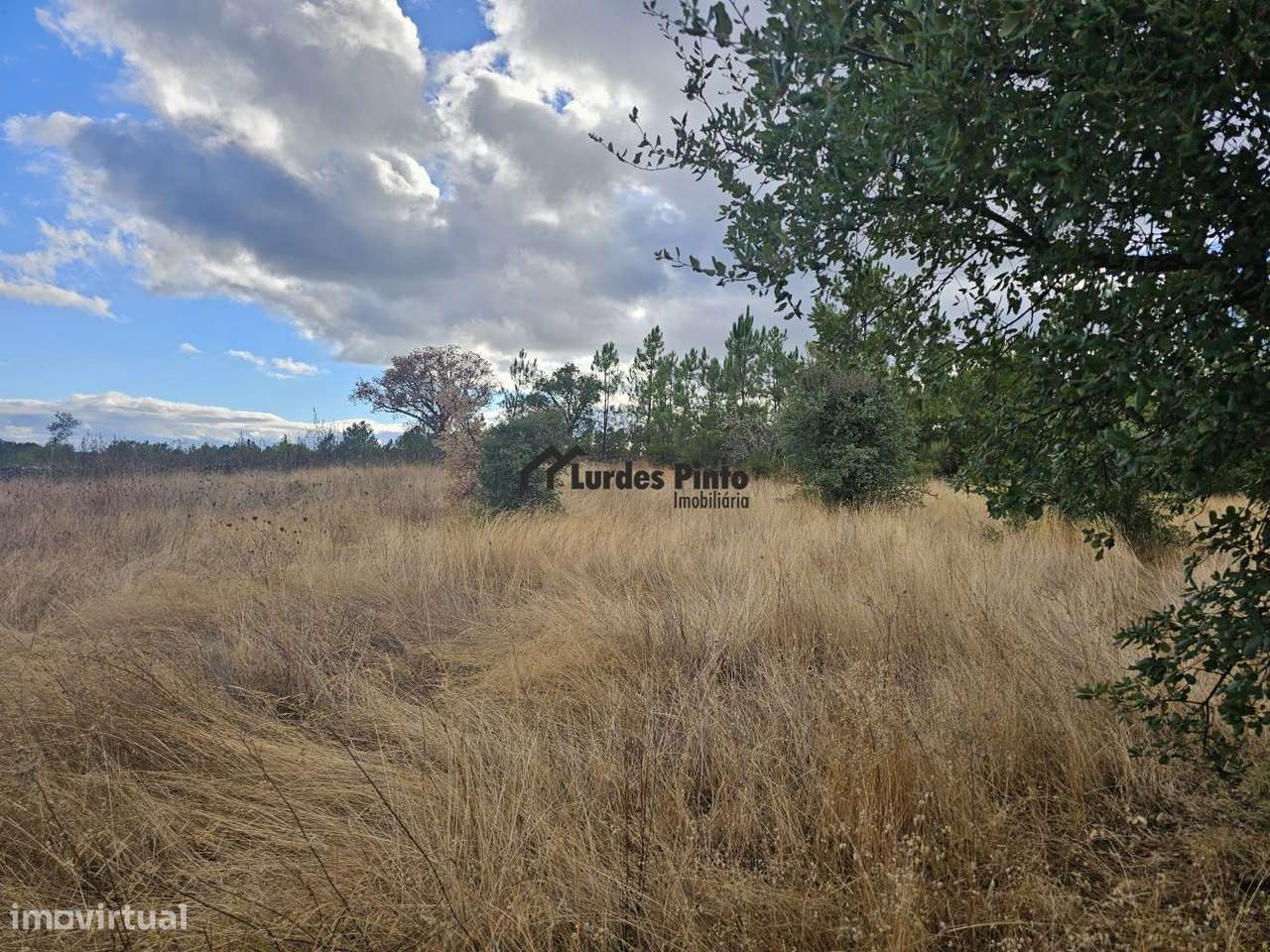 Quintinha com sobreiros-5