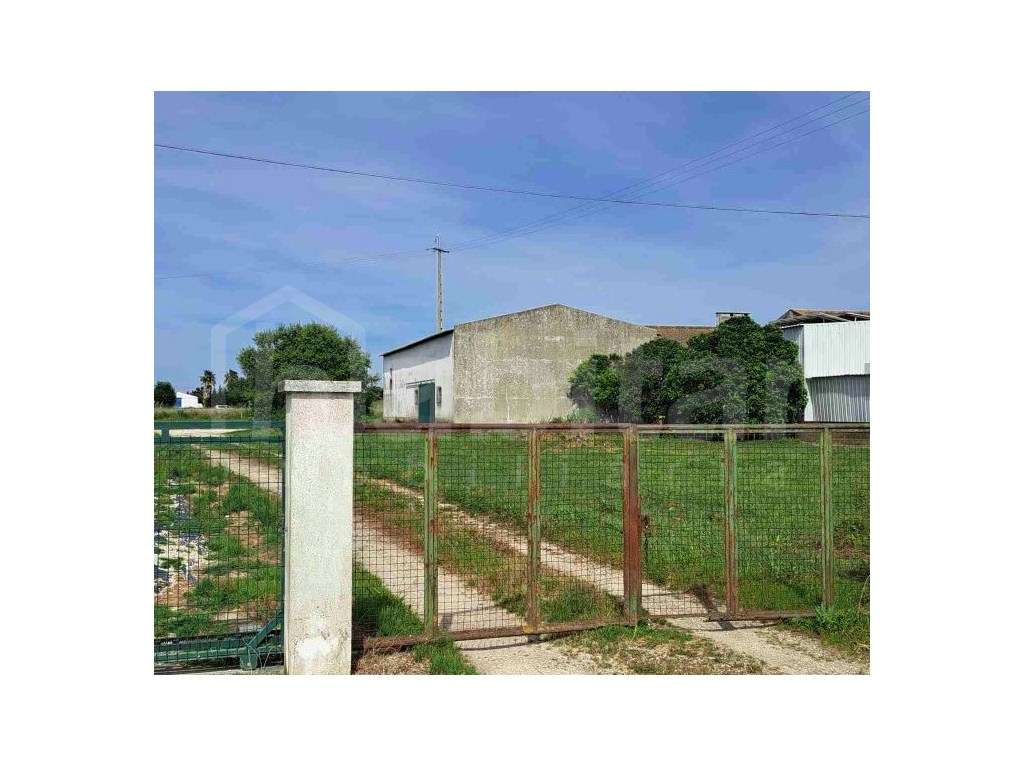 Armazém 278 m² + Adega com Terreno Urbano de 4.516 m² - Benavente-3