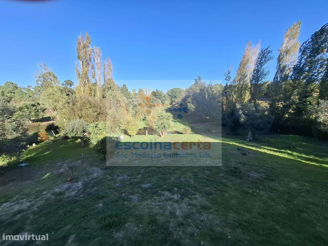 Quinta dos Seus Sonhos Onde a Natureza Fala Mais Alto Palmela - Quinta-29