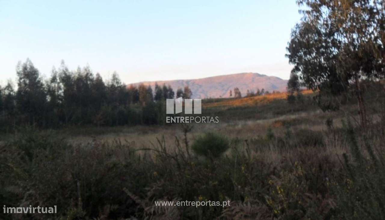 Terreno Agrícola - Lanheses - Grande imagem: 5/30