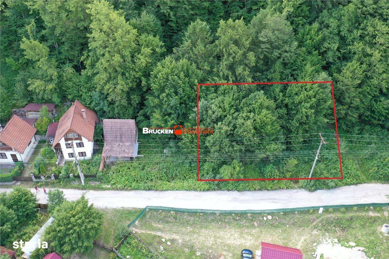 TEREN INTRAVILAN CONSTRUIBIL – 400 mp | Statiunea Boga, com. Pietroasa - Imagine principală: 2/6