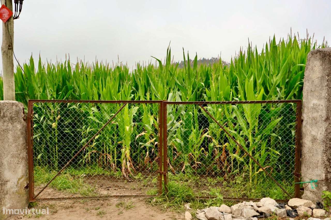 Terreno Urbano  Venda em Malta e Canidelo,Vila do Conde-4