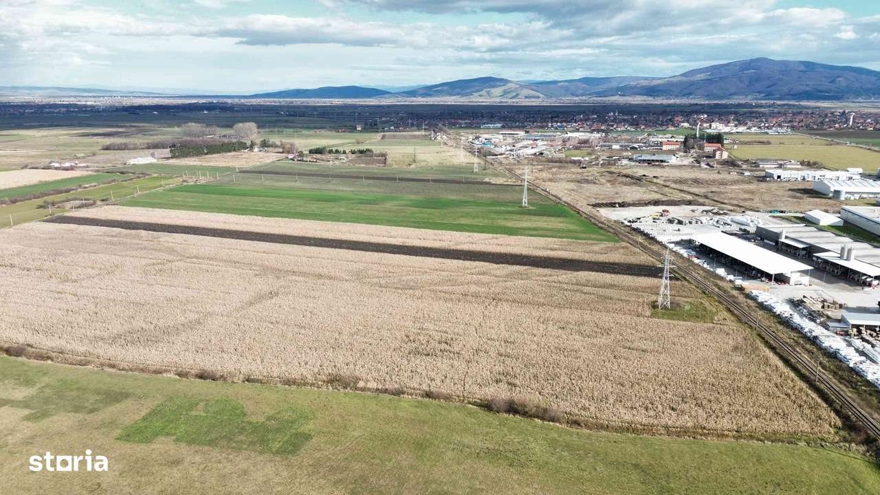 Teren 5 hectare de vanzare prejmer Brasov-7