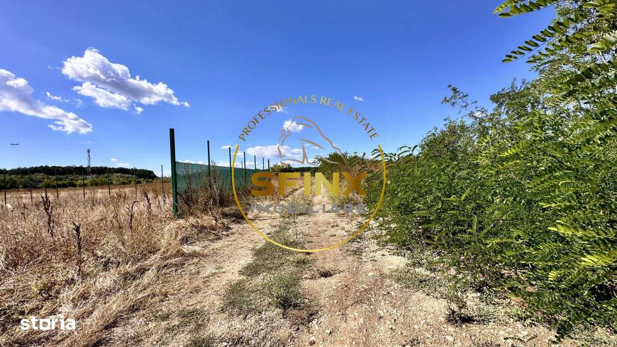 Corbeanca 5000 mp, deschidere 22 m la Drum asfaltat, padure, utilitati-5