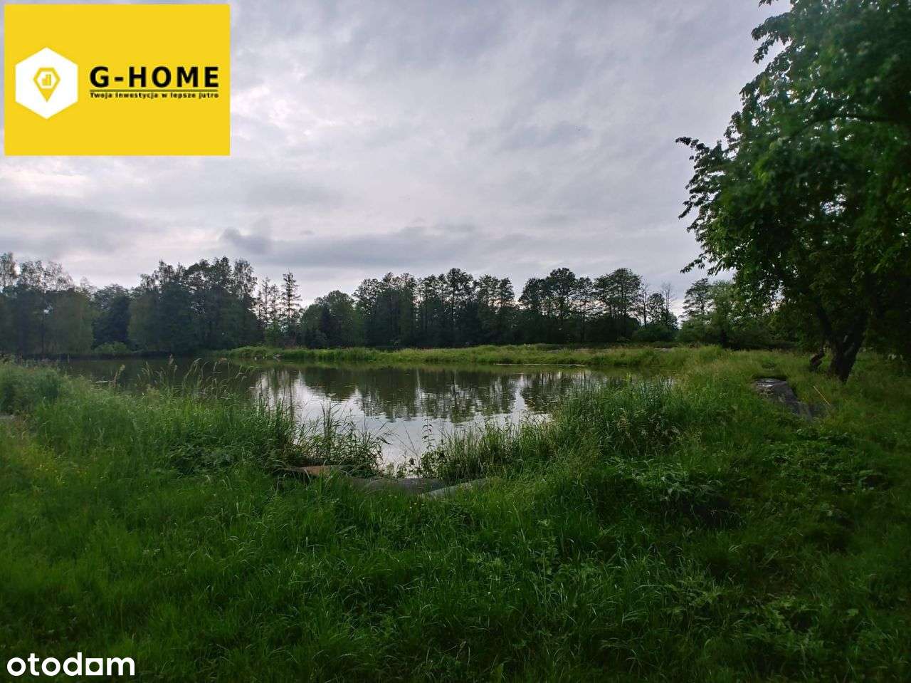 Tereny zielone - Działka z potencjałem-6